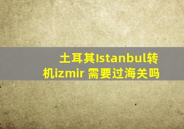 土耳其Istanbul转机izmir 需要过海关吗